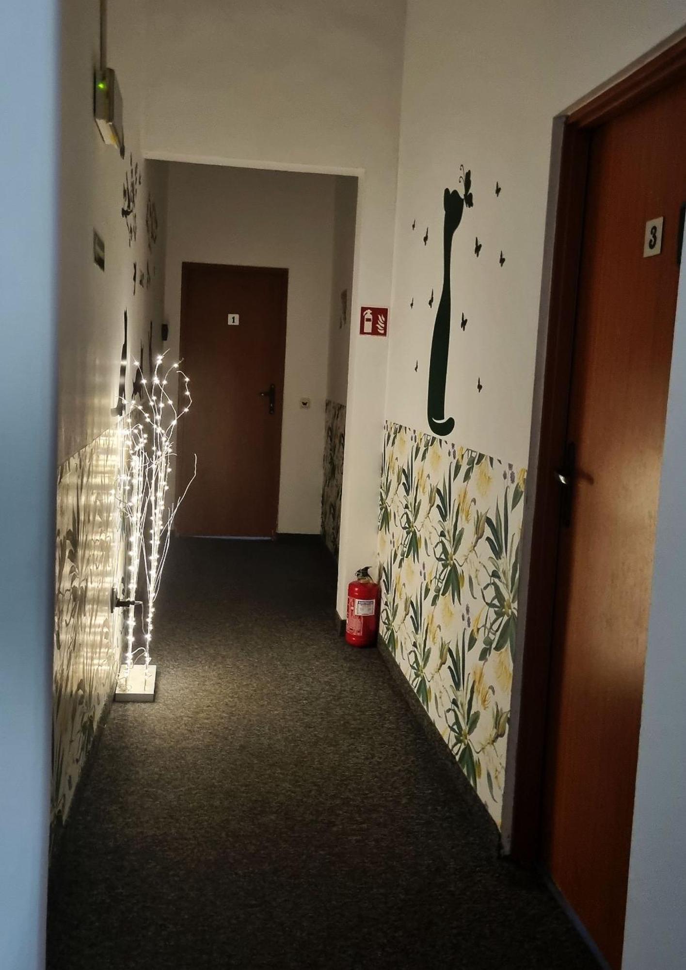 Green Cat Rooms — Fotos 1